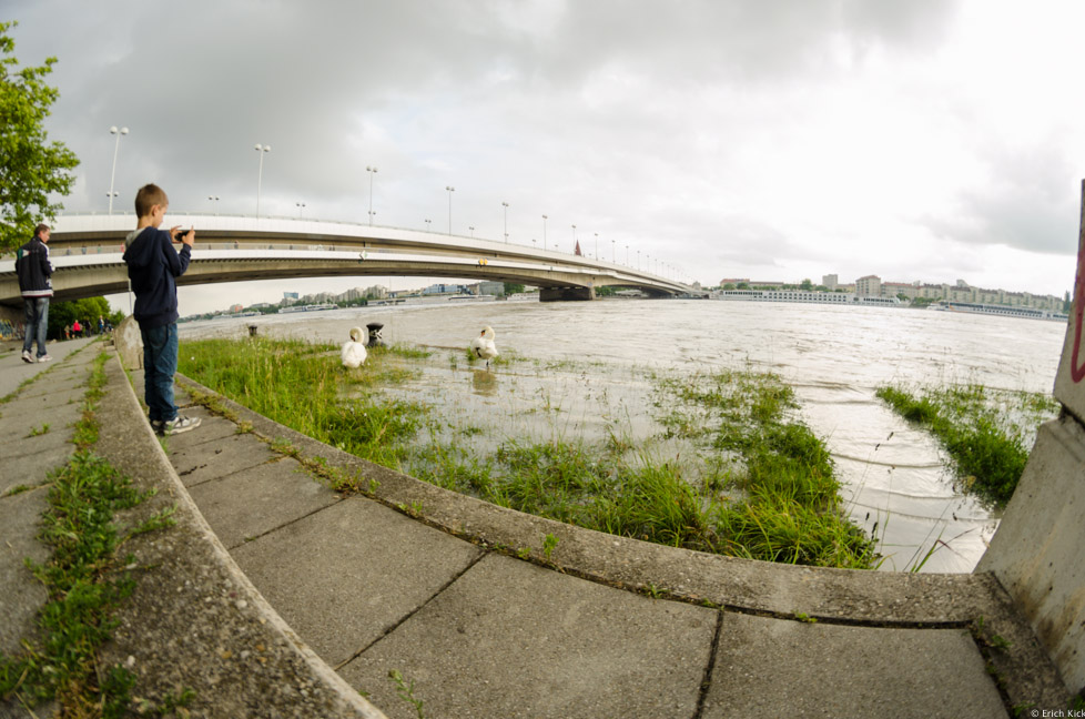 Donau Reichsbrücke