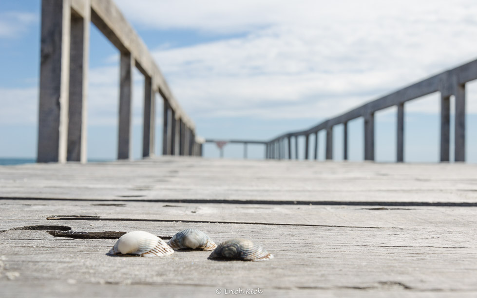 Muscheln am Pier in Sulina