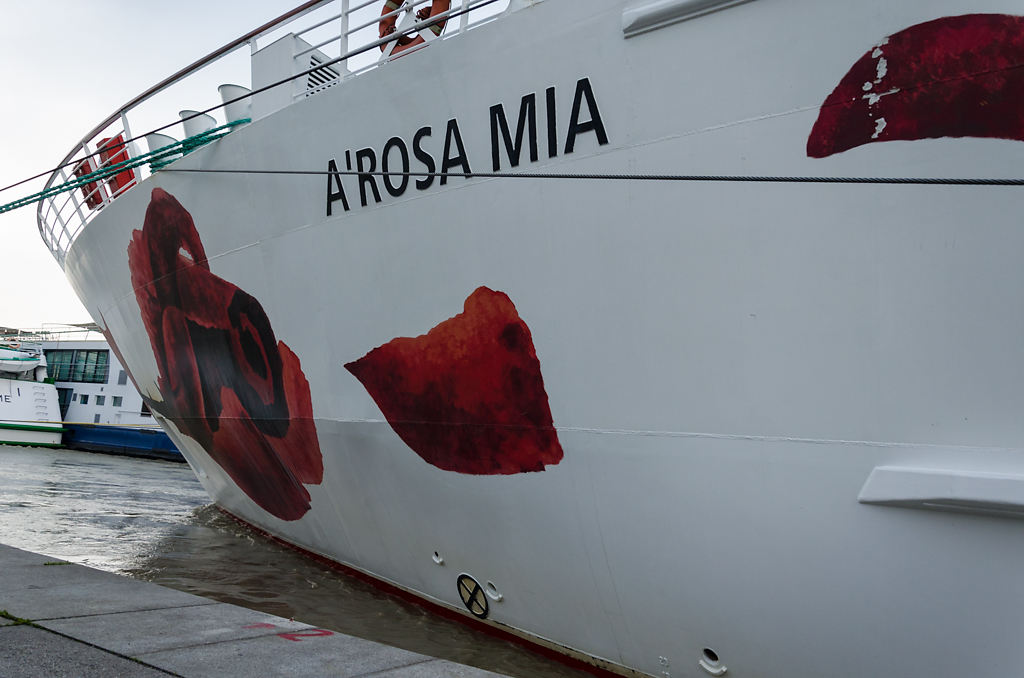 Bug Kreuzfahrtschiff A'Rosa Mia