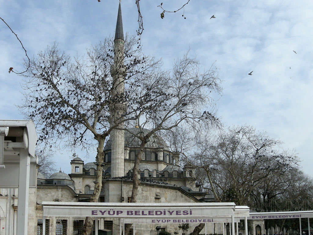Eyüp Sultan Camii mit Baum voller Tauben
