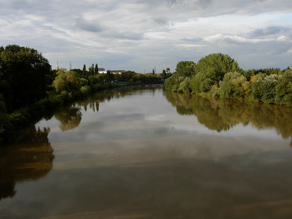 der Fluss Mureș