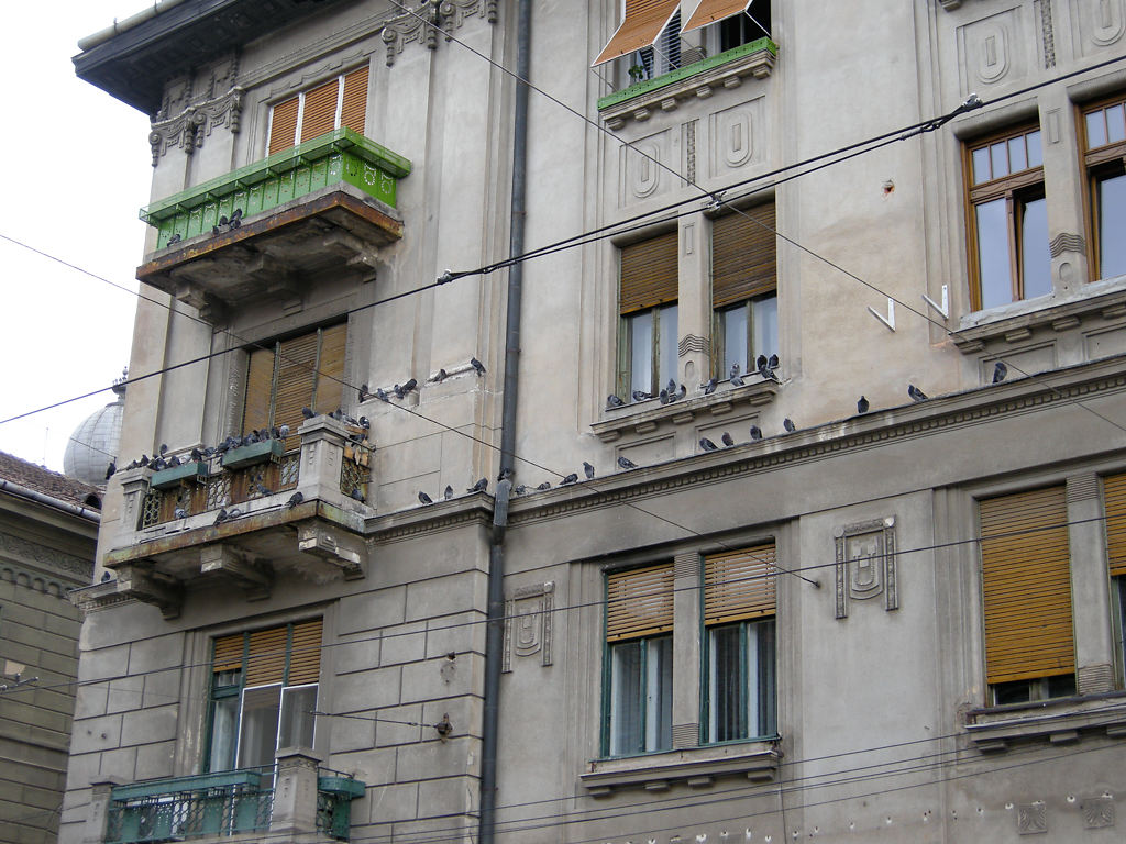 Tauben an der Hausfassade
