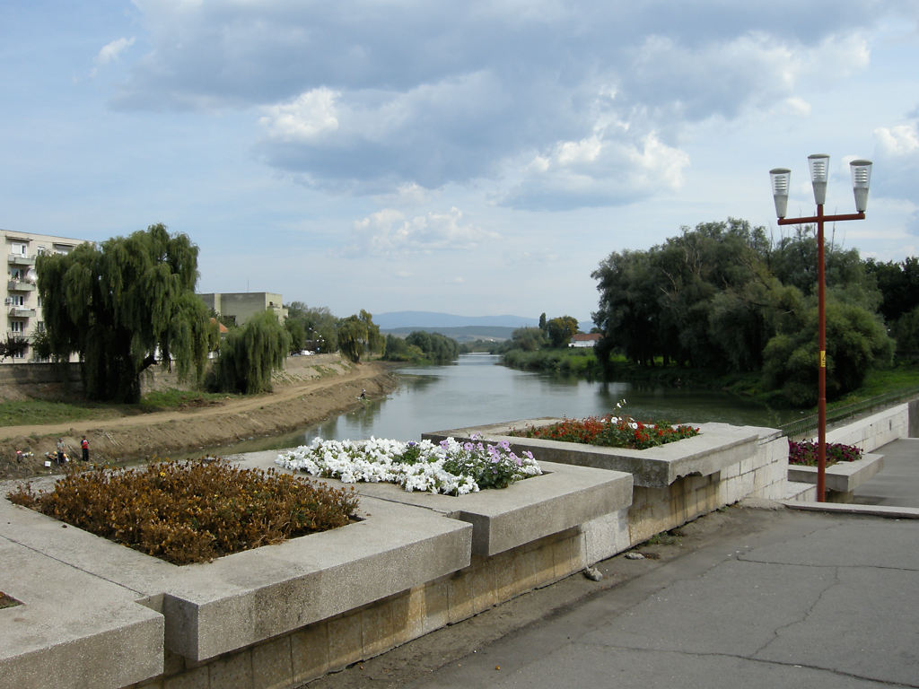 Blick auf den Fluss Timiș