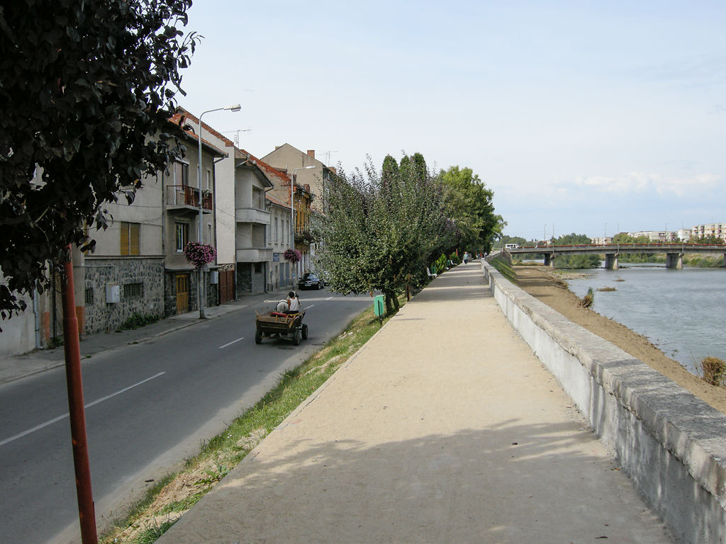 Pferdegespann bei der Timiș-Promenade