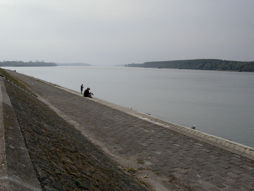 Fischer an der Donau