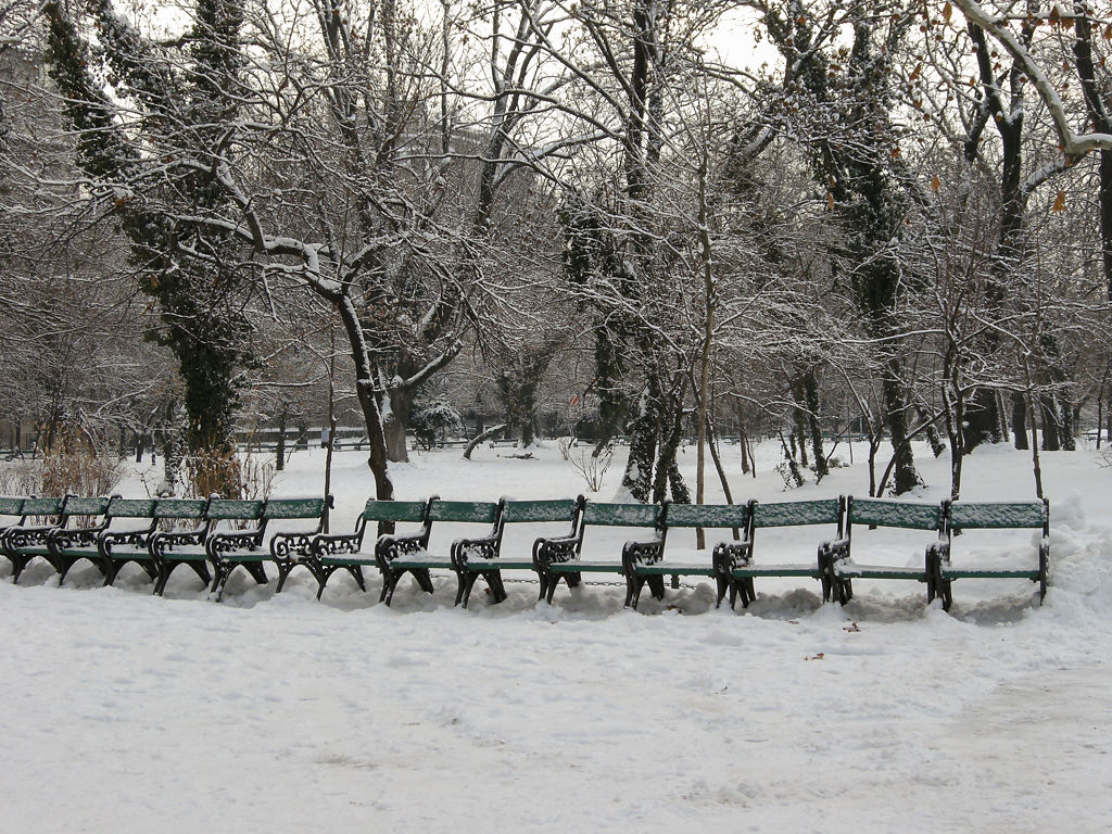Bänke im Parcul Cișmigiu